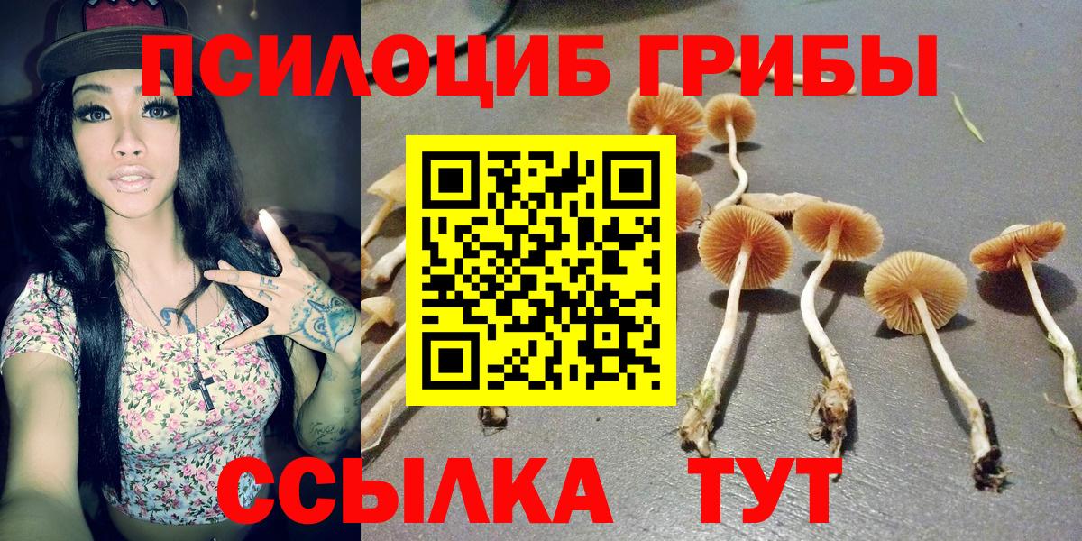 Коркино  Псилоцибиновые грибы мицелий  Вход с VPN  Псилоцибиновые грибы мицелий 