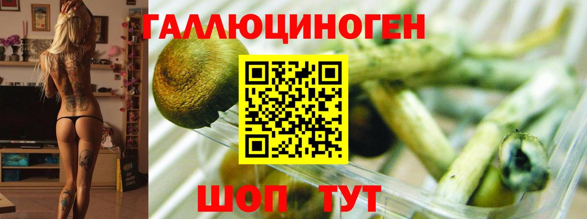 Галлюциногенные грибы прущие грибы Коркино
